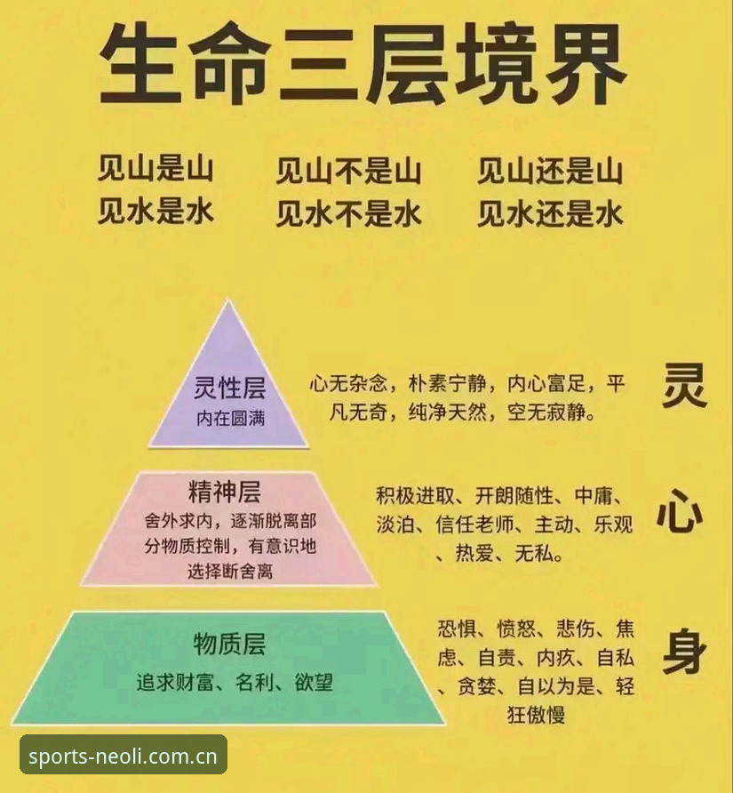 3大核心对比维度：新利官方APP与PC端投注平台的差异解析